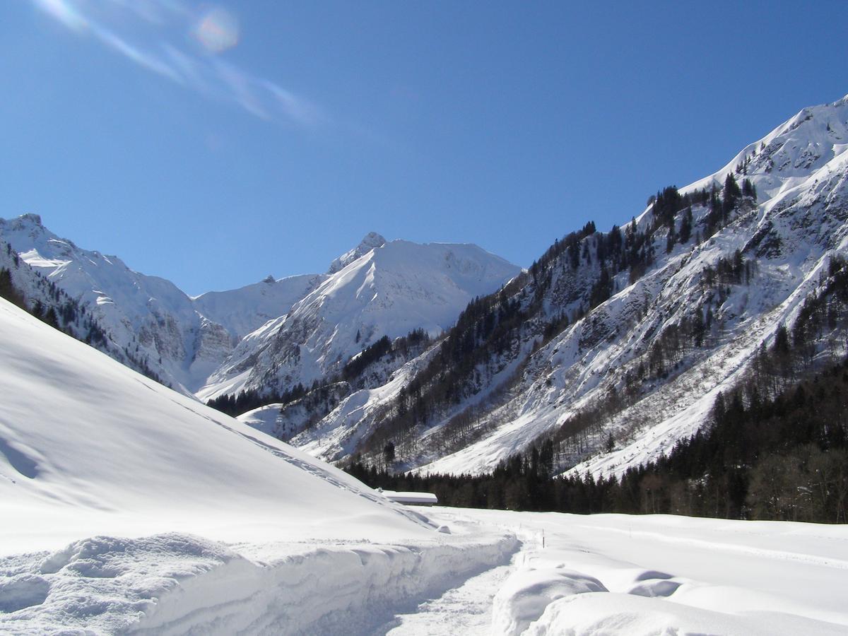 Landhaus Spielmannsau Oberstdorf Bagian luar foto