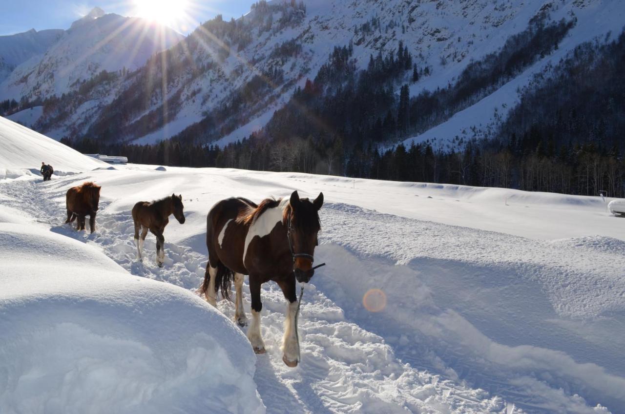 Landhaus Spielmannsau Oberstdorf Bagian luar foto